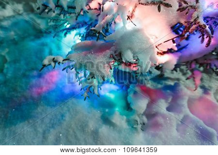 Decorated fir tree with the snow on branches.