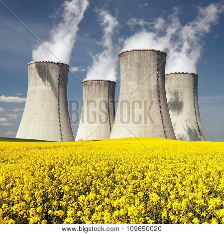 Cooling Tower And Rapeseed Field