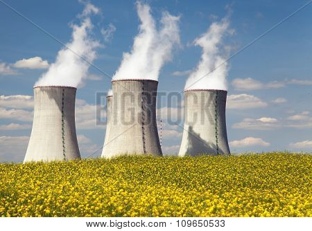 Cooling Tower And Rapeseed Field
