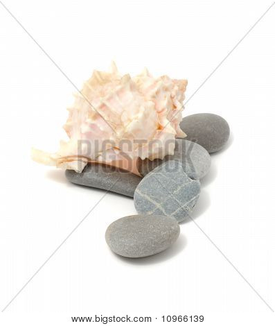 Meer Steine und Shell