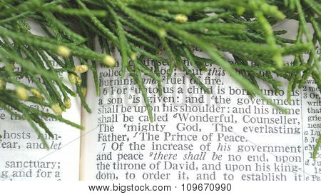 Greenery With Christmas Scripture, Isaiah 9:6