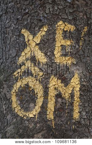 Sign of motor taxi or motorcyclist (Xe Om in Vietnamese) on a tree in Hanoi, Vietnam.
