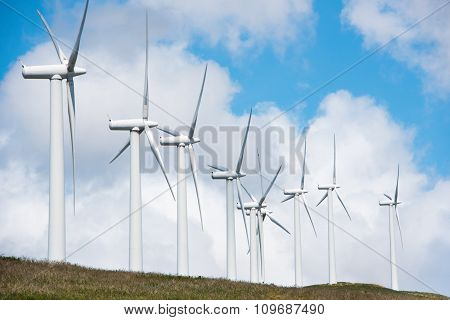 windmill-powered plant on hilltop