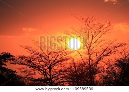 Sunset at Kwando River