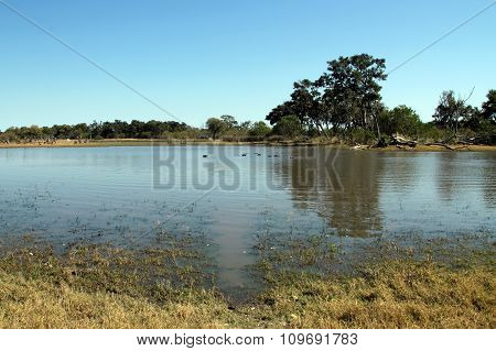 Moremi Game Reserve