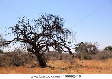 Mahangu National Park