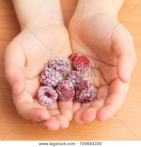 Frozen Raspberries In The Toddler Palms