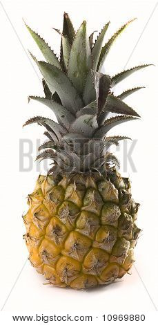 Ananas