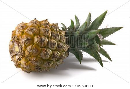 Ananas