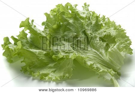 Sallad