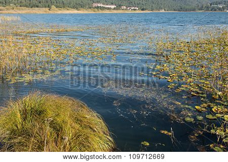 Lake Abant, Turkey