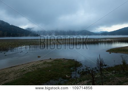 morning mist