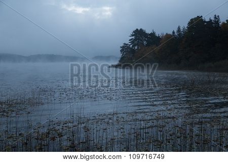 morning mist