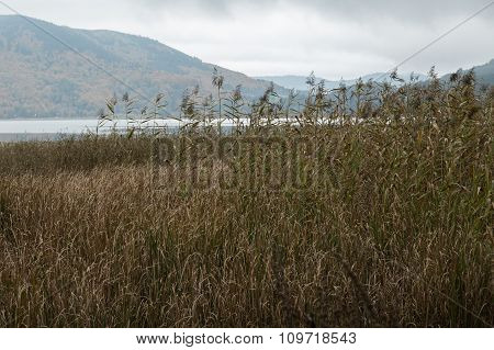 view of Lake Abant