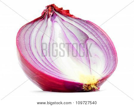 Red onion bulb half cut vertical longitudinal section isolated