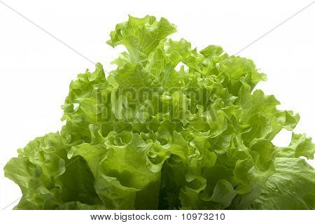 Sallad