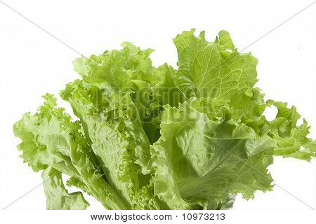 Sallad