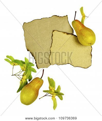 Composition Of Autumn Ripe Pears, Lip Paper And Maple Seeds.