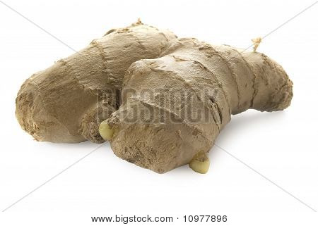Ingefära
