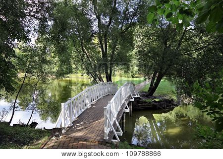 Cat And Footbridge Across The Pond