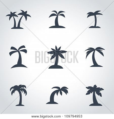 Vector Black Palm Icon Set