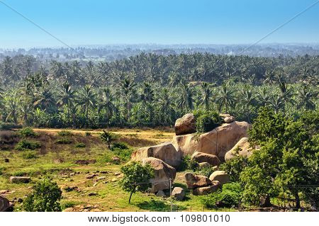 Landscape with big stones and coconut palms. View from Hemakuta hill sunset point Hampi Karnataka India.