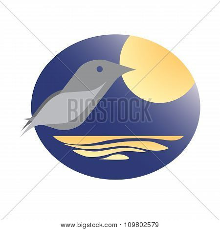 Birdie at moonlight