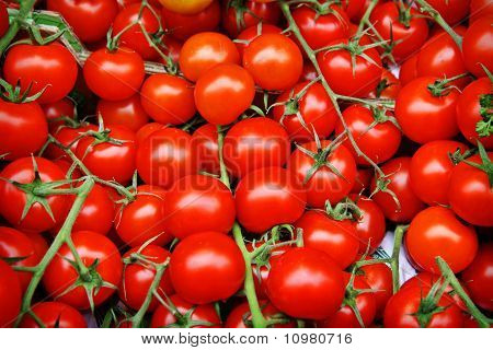 tomatos