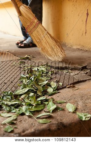sweeping tea leaves