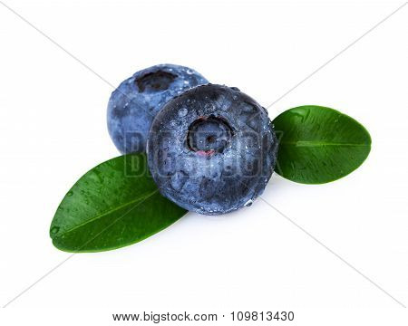 Blueberries Green Leafs