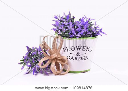 Purple flowers in a decorative pot on a white background