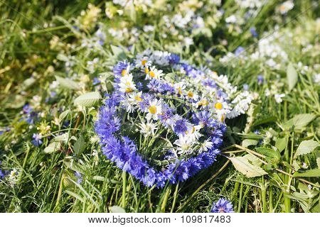 The Wreath Of Daisies In A Field