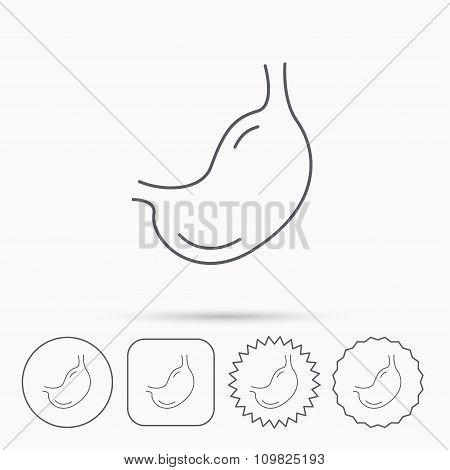 Stomach icon. Gastroscopy health sign.