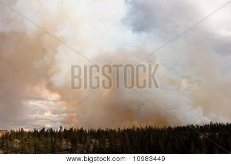 Kouř plněné Sky