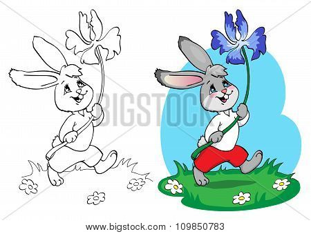 Coloring Book Or Page. Rabbit In Red Shorts And White Shirt With A Blue Flower.