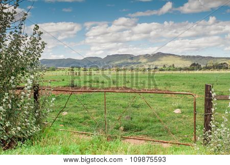 Farm Gate In Eastern Cape South Africa