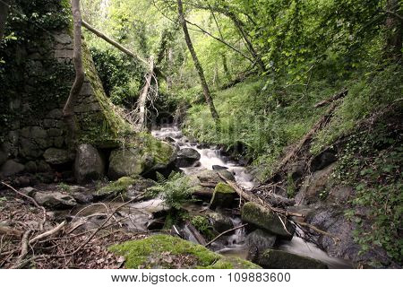 Stream Of Ambroz Valley, Banos De Montemayor, Extremadura