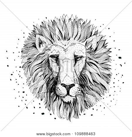 Lion face logo emblem template