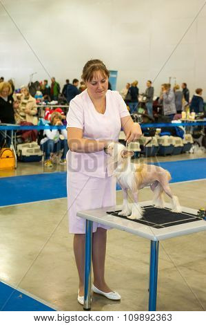 MOSCOW, RUSSIA - NOVEMBER 1, 2015: Exhibitors showing their pets during International Dog Show CACIB-FCI on November 1, 2015 in Moscow, Russia