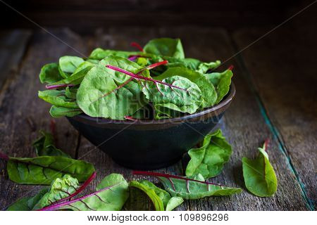 Fresh Chard Leaves On Rustic Background