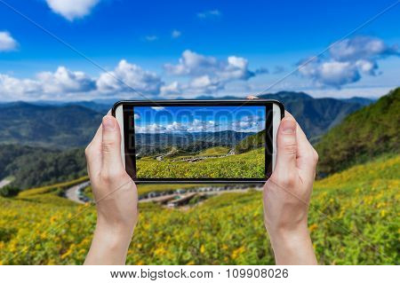 Hand Taking Photo At Tung Bua Tong Mexican Sunflower In Maehongson, Thailand
