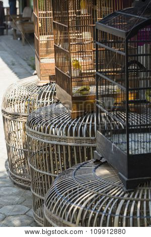 Birds And Parrots At The Pasar Ngasem Market In Yogyakarta, Central Java, Indonesia.
