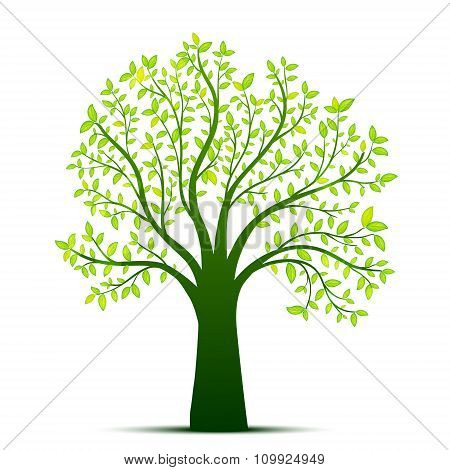 Green Tree
