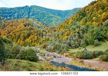 Mountain River In Deep Canyon With Autumn Colorful Trees