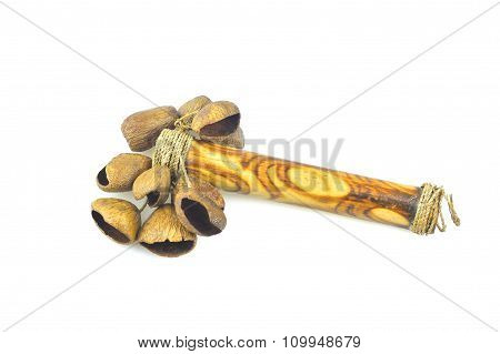 Calabash Rattle Isolated On White Background.