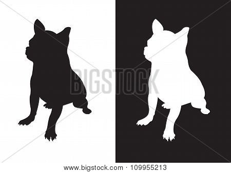 Chihuahua dog breed - silhouette vector- Stock Illustration