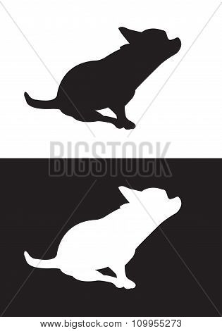 Chihuahua dog breed - silhouette vector- Stock Illustration