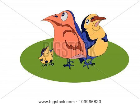 Three comical birds