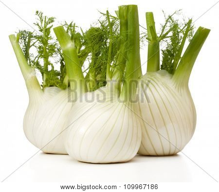 Fresh fennel bulb isolated on white background close up