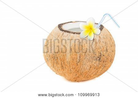 Tropical Coconut Refreshment
